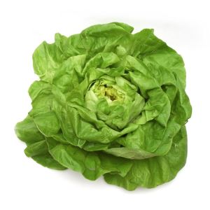Imagen de Lechuga Trocadero