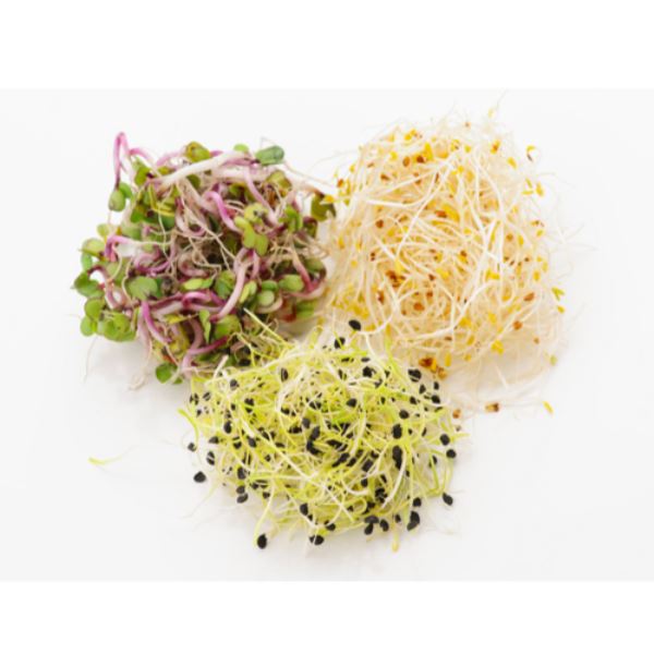'Brotes de alfalfa, soja y germinados'